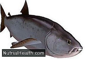 Salmão e atum têm os benefícios e desvantagens de grandes peixes gordurosos.