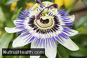 Kosthold: Hva Er Fordelene Med Passion Flower Herbs? - 20242024.MarMar.ThuThu
