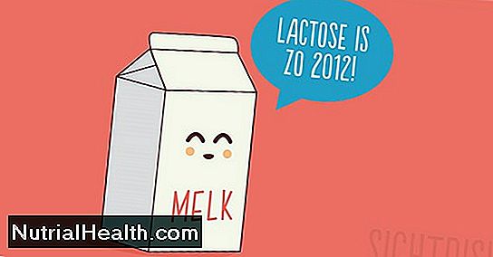 Kan Lactose Intolerante-Personer Drikke Pulveriseret Mælk?