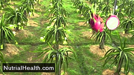 Diät: Dragon Fruit Gesundheitliche Vorteile - 20242024.MarMar.ThuThu
