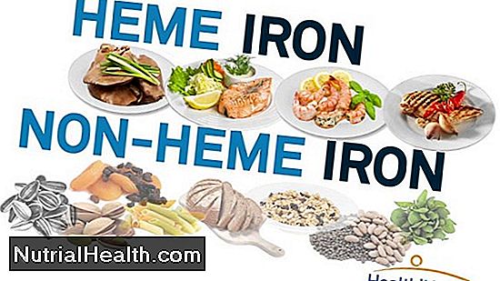Nonheme Iron Foods