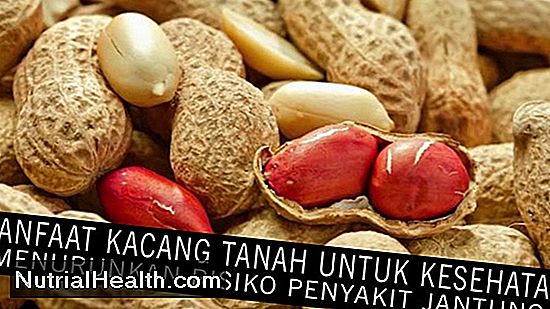 Nutrisi: Apa Manfaat Kacang Tanah Kacang Hijau? - 20242024.MarMar.ThuThu