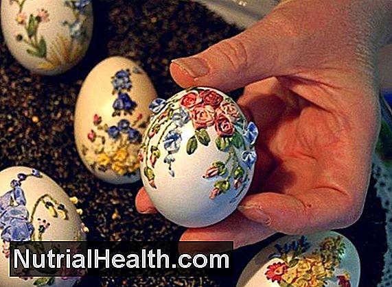 Ouăle Pulverizate Conțin Proteine?