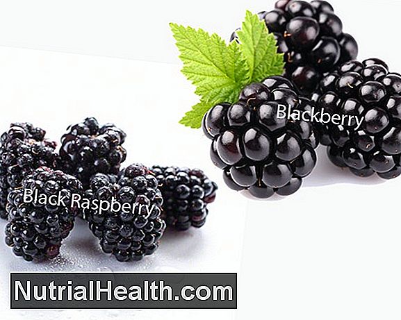 Blackberry Vs Blueberry Nutrients