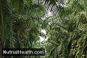 Palmöl-Gesundheitsgefahren